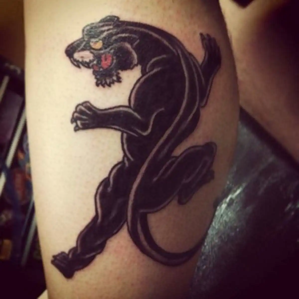 panther