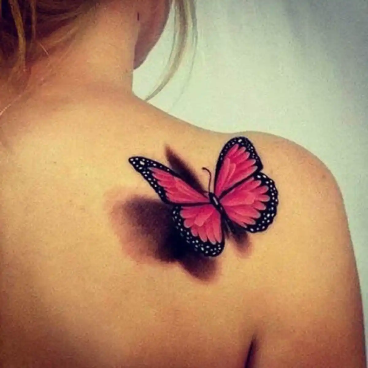 butterfly